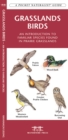 Image for Grasslands Birds : A Folding Pocket Guide to Familiar Species found in Prairie Grasslands