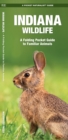 Image for Indiana Wildlife : A Folding Pocket Guide to Familiar Species