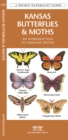Image for Kansas Butterflies &amp; Moths : A Folding Pocket Guide to Familiar Species