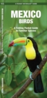 Image for Mexico Birds : A Folding Pocket Guide to Familiar Species