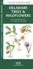Image for Delaware Trees &amp; Wildflowers : A Folding Pocket Guide to Familiar Species