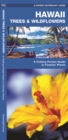 Image for Hawaii Trees &amp; Wildflowers : A Folding Pocket Guide to Familiar Species
