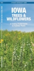 Image for Iowa Trees &amp; Wildflowers : A Folding Pocket Guide to Familiar Plants