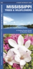 Image for Mississippi Trees &amp; Wildflowers : A Folding Pocket Guide to Familiar Species