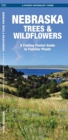 Image for Nebraska Trees &amp; Wildflowers : A Folding Pocket Guide to Familiar Plants