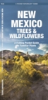 Image for New Mexico Trees &amp; Wildflowers : A Folding Pocket Guide to Familiar Species