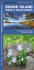 Image for Rhode Island Trees &amp; Wildflowers : A Folding Pocket Guide to Familiar Species