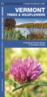 Image for Vermont Trees &amp; Wildflowers : A Folding Pocket Guide to Familiar Species
