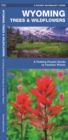 Image for Wyoming Trees &amp; Wildflowers : A Folding Pocket Guide to Familiar Species