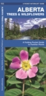 Image for Alberta Trees &amp; Wildflowers : A Folding Pocket Guide to Familiar Species