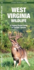 Image for West Virginia Wildlife : A Folding Pocket Guide to Familiar Species