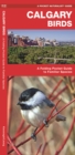 Image for Calgary Birds : A Folding Pocket Guide to Familiar Species