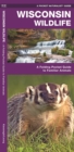 Image for Wisconsin Wildlife : A Folding Pocket Guide to Familiar Animals