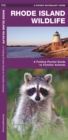 Image for Rhode Island Wildlife : A Folding Pocket Guide to Familiar Species