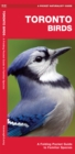 Image for Toronto Birds : A Folding Pocket Guide to Familiar Species