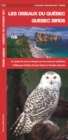 Image for Les Oiseaux du Quebec/Quebec Birds : Un guide de poche bilingue sur les especes familiere/A Bilingual Folding Pocket Guide to Familiar Species