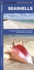 Image for Seashells : A Folding Pocket Guide to Familiar North American Species