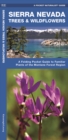 Image for Sierra Nevada Trees &amp; Wildflowers : A Folding Pocket Guide to Familiar Species of the Montane Forest Region