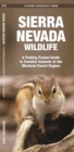Image for Sierra Nevada Wildlife : A Folding Pocket Guide to Familiar Species of the Montane Forest Region