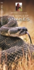 Image for The World of Snakes