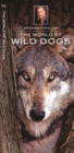 Image for The World of Wild Dogs