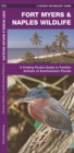 Image for Fort Myers &amp; Naples Wildlife : A Folding Pocket Guide to Familiar Animals of Southwestern Florida