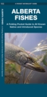Image for Alberta Fishes : A Folding Guide to All Known Native and Introduced Species