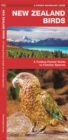 Image for New Zealand Birds