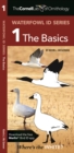 Image for The Cornell Lab of Ornithology Waterfowl ID 1 The Basics