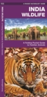Image for India Wildlife : A Folding Pocket Guide to Familiar Animals
