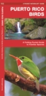 Image for Puerto Rico Birds