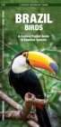 Image for Brazil Birds