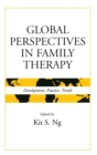 Image for Global perspectives in family therapy  : development, practice, trends