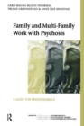Image for Family and multifamily work with psychosis  : a guide for professionals