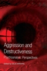 Image for Aggression and Destructiveness