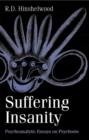 Image for Suffering insanity  : psychoanalytic essays on psychosis