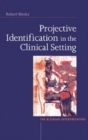 Image for Projective identification in the clinical setting  : the Kleinian interpretation