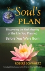 Image for Your soul&#39;s plan  : discovering the real meaning of the life you planned before you were born