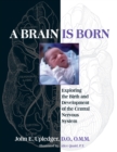 Image for A Brain Is Born : Exploring the Birth and Development of the Central Nervous System