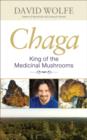 Image for Chaga: king of the medicinal mushrooms