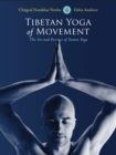 Image for Tibetan yoga of movement  : the art and practice of yantra yoga