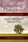 Image for Collapsing Consciously Meditations: Further Reflections for Turbulent Times