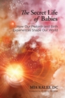 Image for The secret life of babies  : how our prebirth and birth experiences shape our world