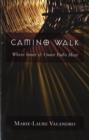 Image for Camino walk  : where inner &amp; outer paths meet