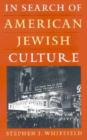 Image for In search of American Jewish culture
