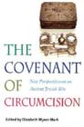 Image for The Covenant of Circumcision - New Perspectives on an Ancient Jewish Rite