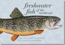 Image for Freshwater Fish of the Northeast