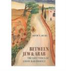 Image for Between Jew and Arab  : the lost voice of Simon Rawidowicz