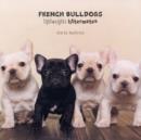 Image for French Bulldogs