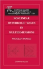 Image for Nonlinear Hyperbolic Waves in Multidimensions